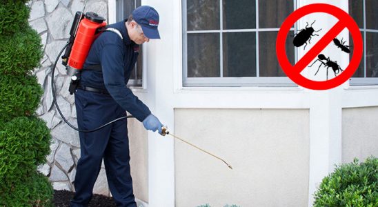 Mesudiye Akrep İlaçlama böcek ilaçlama ve haşere kontrolü — ilaclama-tr.com